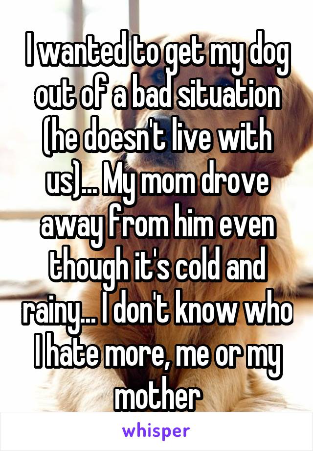 I wanted to get my dog out of a bad situation (he doesn't live with us)... My mom drove away from him even though it's cold and rainy... I don't know who I hate more, me or my mother