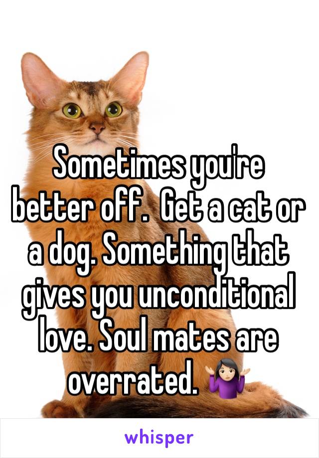 Sometimes you're better off.  Get a cat or a dog. Something that gives you unconditional love. Soul mates are overrated. 🤷🏻‍♀️