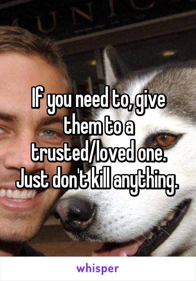 If you need to, give them to a trusted/loved one. Just don't kill anything. 