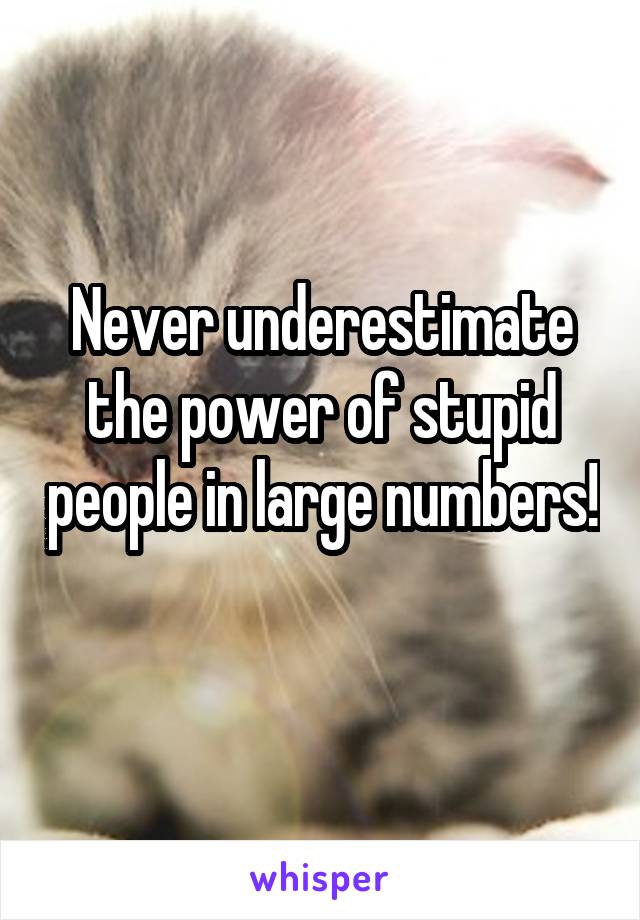 Never underestimate the power of stupid people in large numbers! 