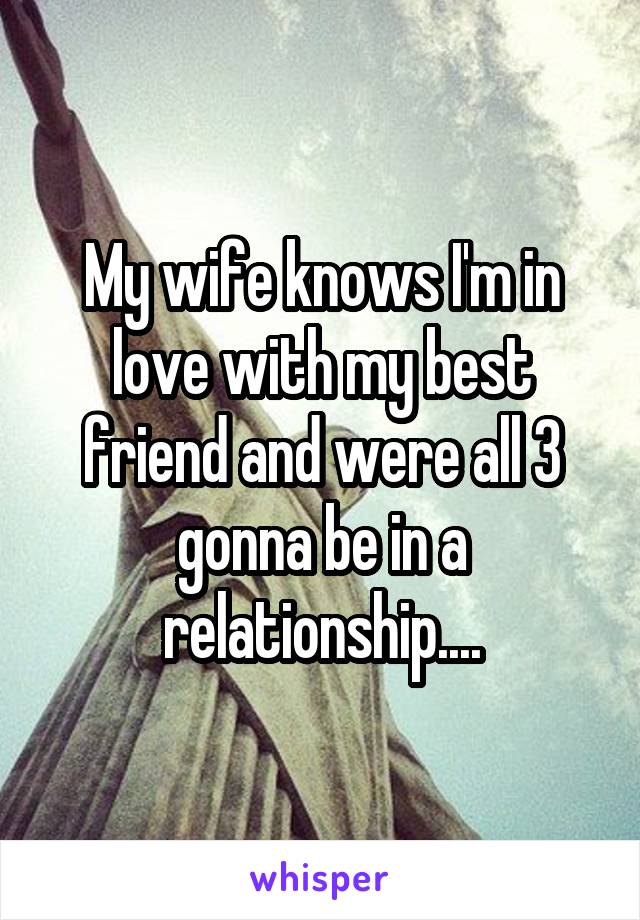 My wife knows I'm in love with my best friend and were all 3 gonna be in a relationship....