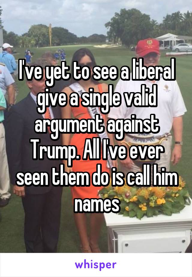 I've yet to see a liberal give a single valid argument against Trump. All I've ever seen them do is call him names