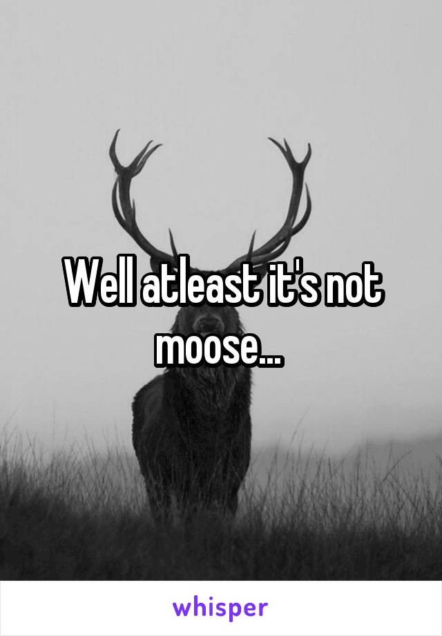 Well atleast it's not moose... 