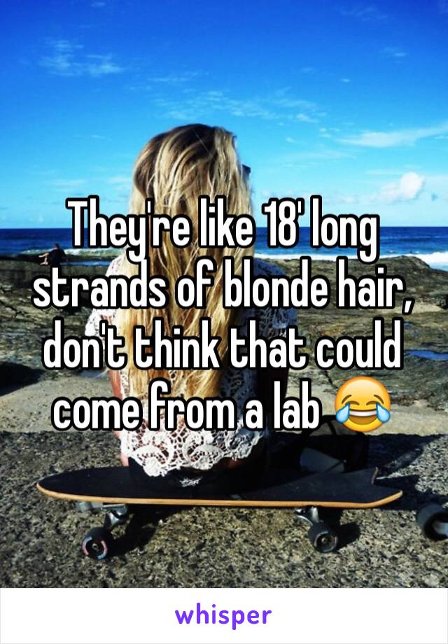 They're like 18' long strands of blonde hair, don't think that could come from a lab ðŸ˜‚