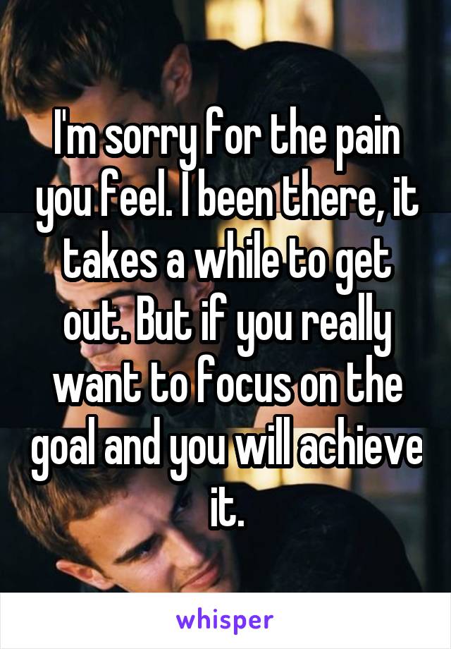 I'm sorry for the pain you feel. I been there, it takes a while to get out. But if you really want to focus on the goal and you will achieve it.
