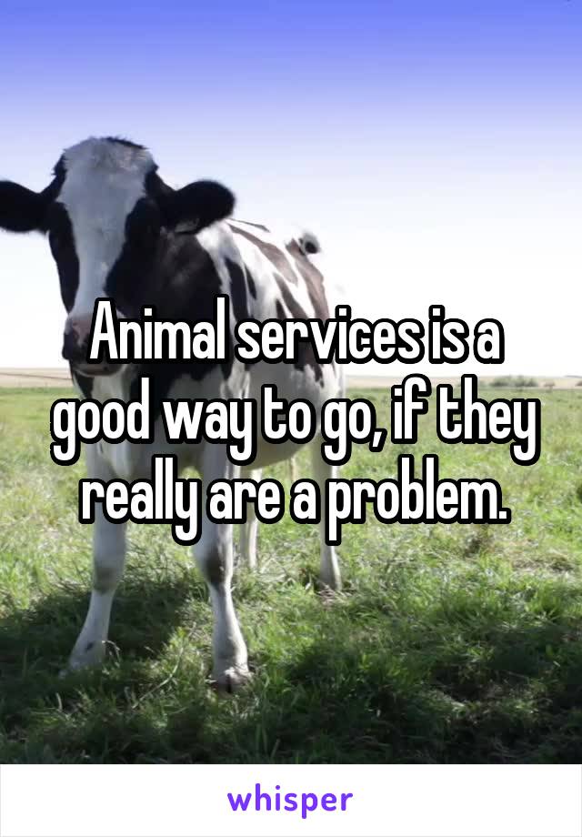 Animal services is a good way to go, if they really are a problem.