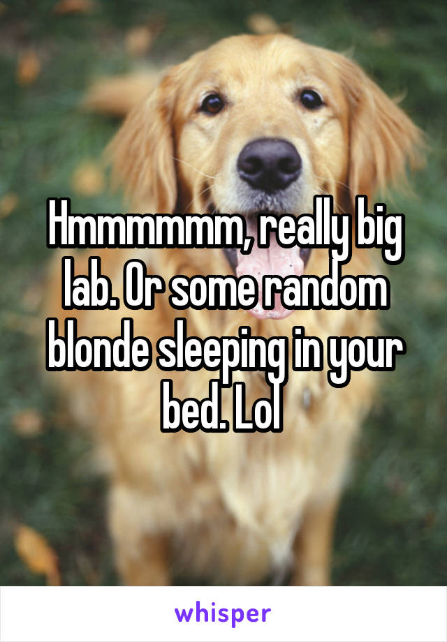 Hmmmmmm, really big lab. Or some random blonde sleeping in your bed. Lol 