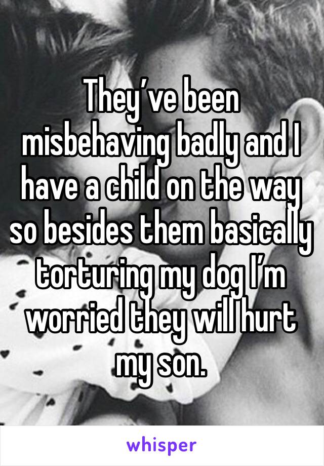 They’ve been misbehaving badly and I have a child on the way so besides them basically torturing my dog I’m worried they will hurt my son. 