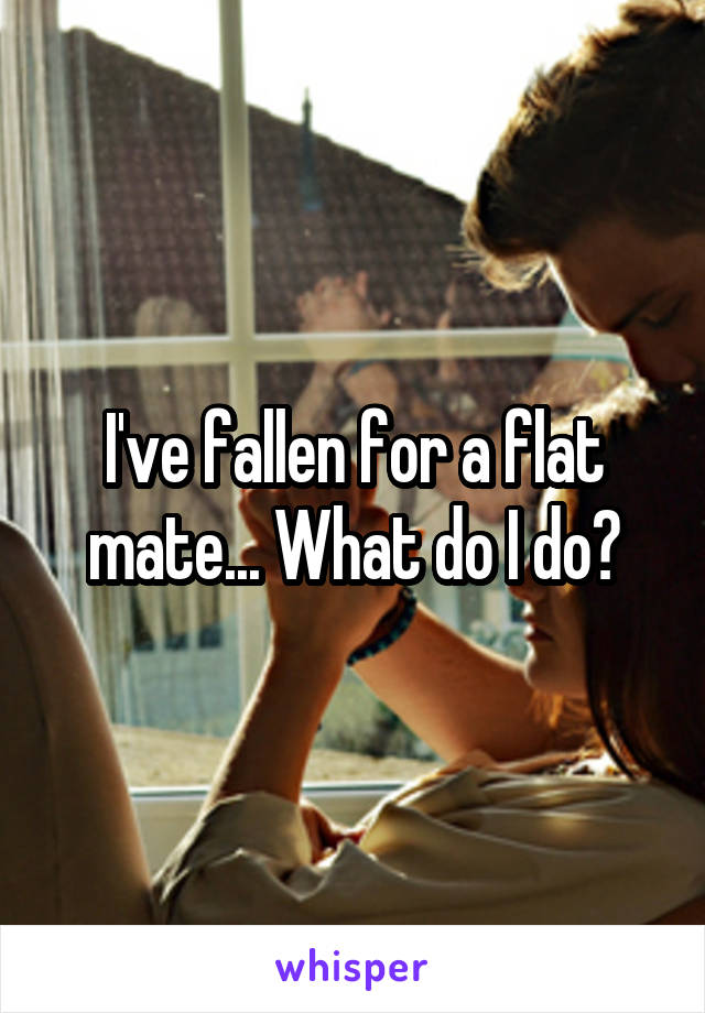 I've fallen for a flat mate... What do I do?