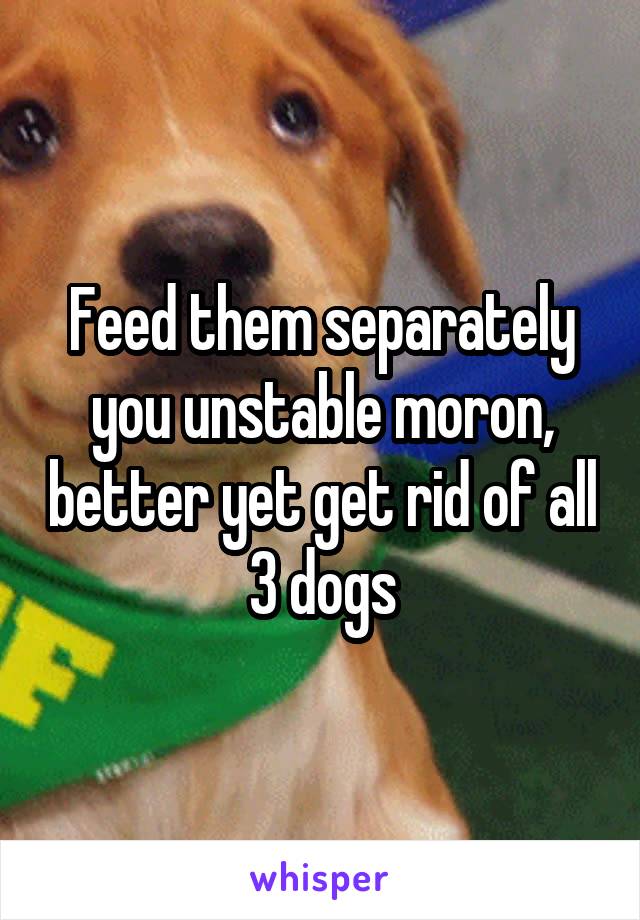 Feed them separately you unstable moron, better yet get rid of all 3 dogs