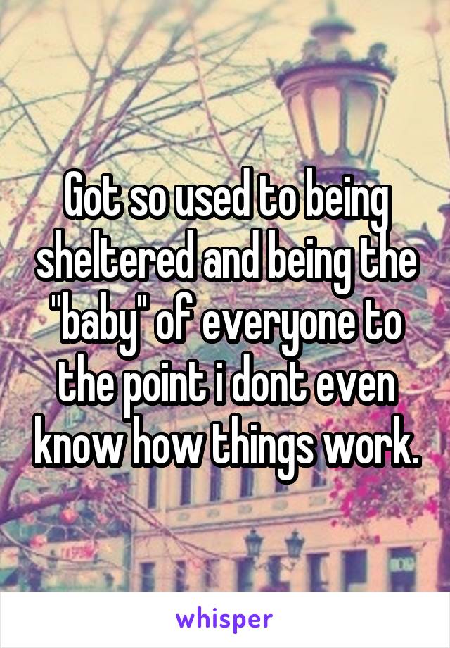 Got so used to being sheltered and being the "baby" of everyone to the point i dont even know how things work.