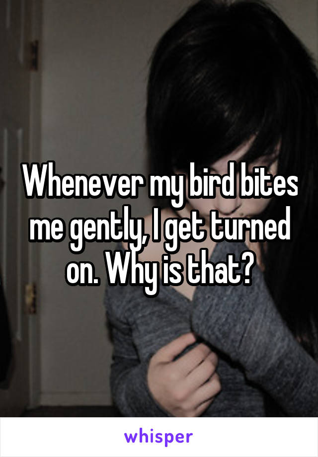Whenever my bird bites me gently, I get turned on. Why is that?