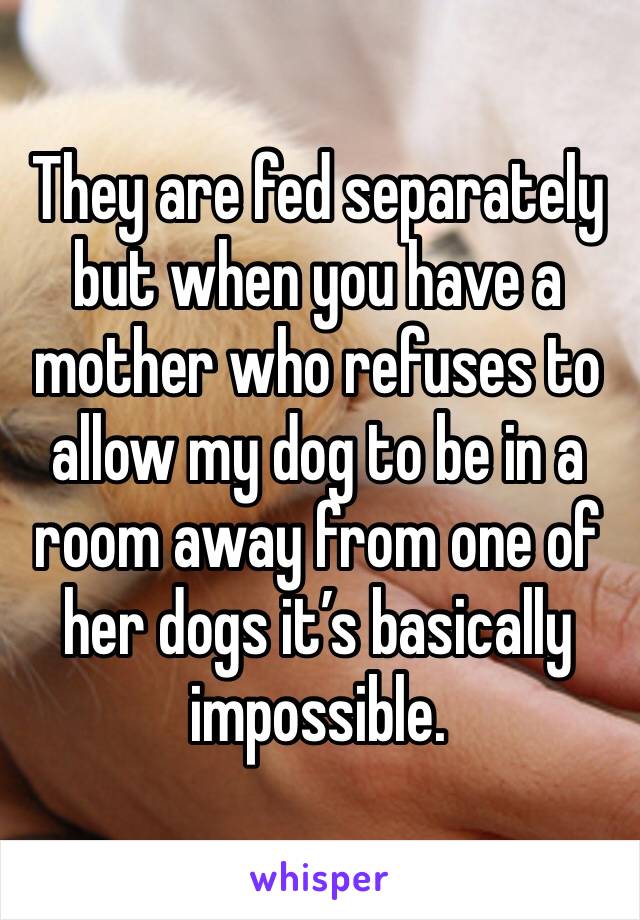 They are fed separately but when you have a mother who refuses to allow my dog to be in a room away from one of her dogs it’s basically impossible. 