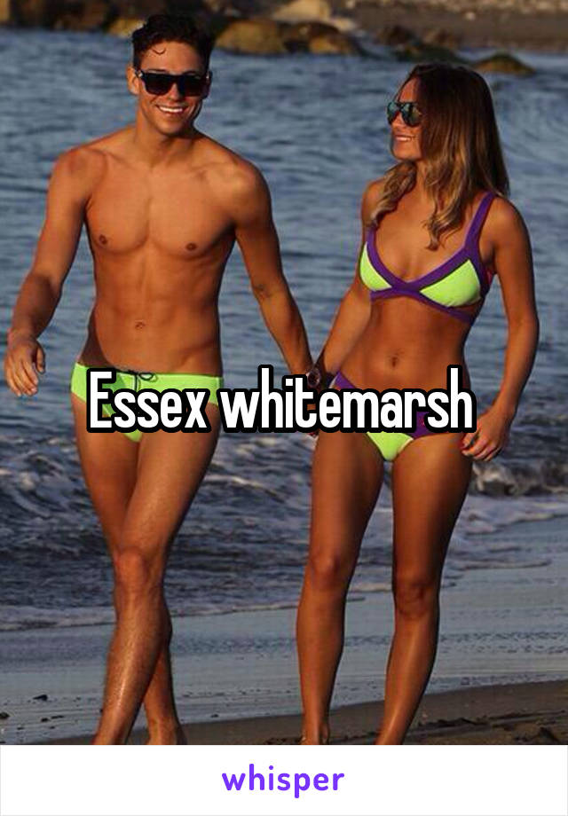 Essex whitemarsh 