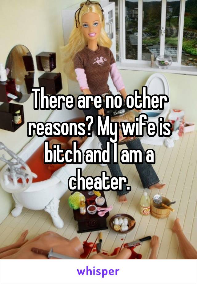 There are no other reasons? My wife is bitch and I am a cheater.