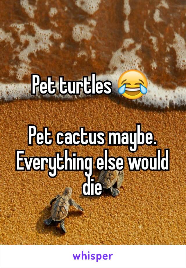 Pet turtles 😂 

Pet cactus maybe. Everything else would die