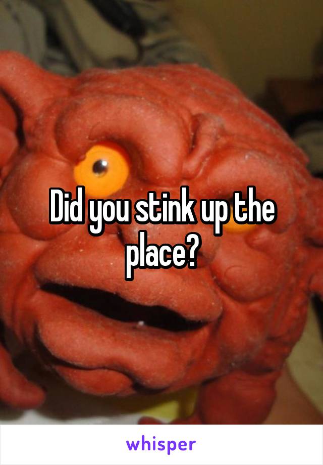 Did you stink up the place?