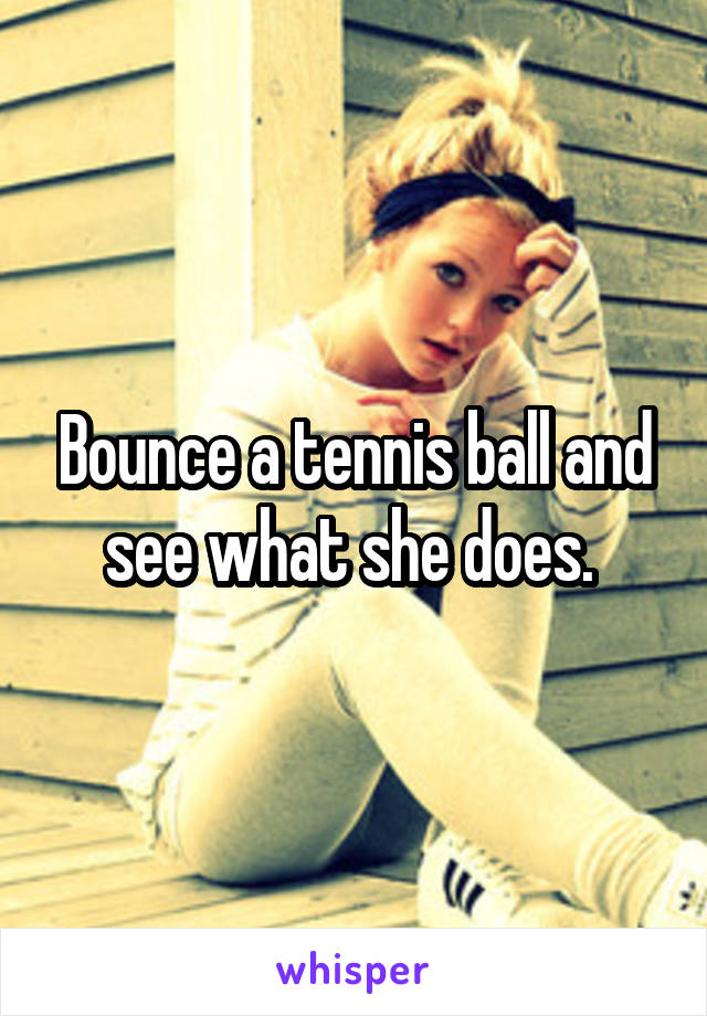 Bounce a tennis ball and see what she does. 