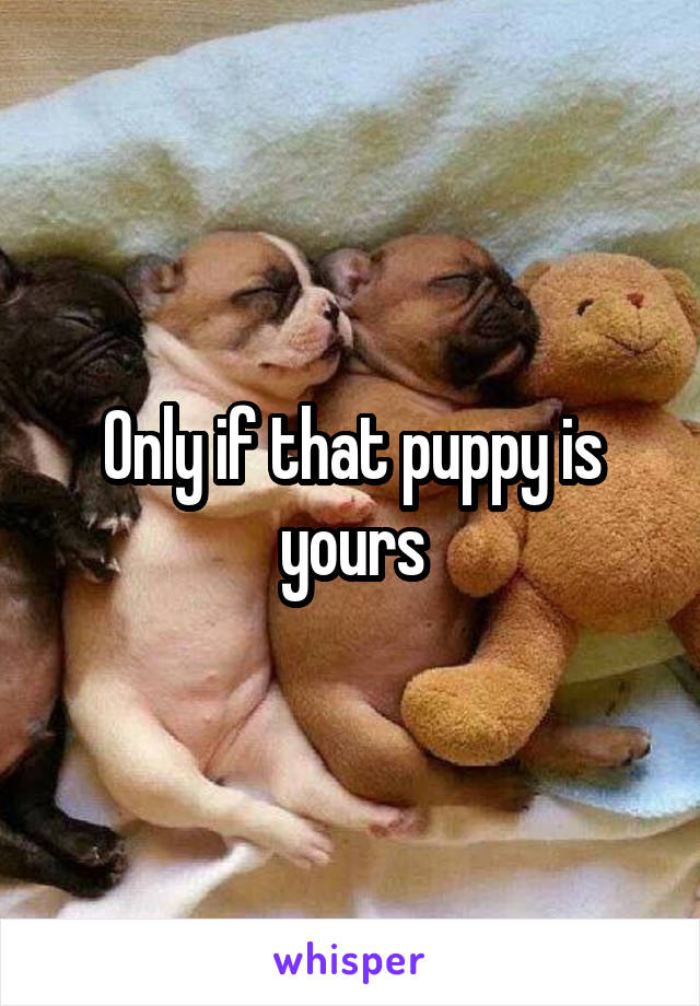 Only if that puppy is yours