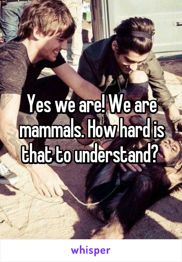 Yes we are! We are mammals. How hard is that to understand? 