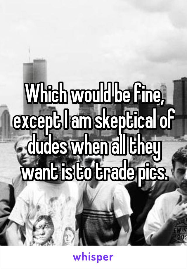 Which would be fine, except I am skeptical of dudes when all they want is to trade pics.