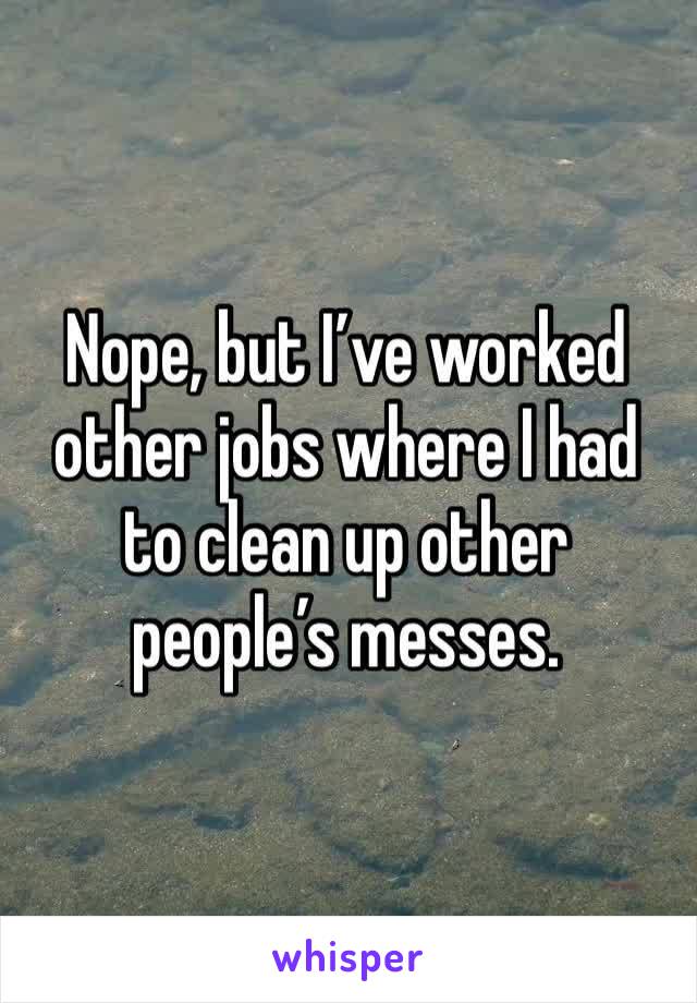 Nope, but I’ve worked other jobs where I had to clean up other people’s messes. 