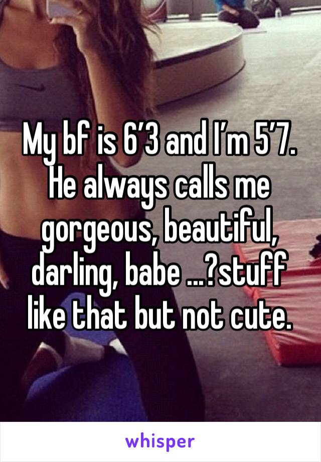 My bf is 6’3 and I’m 5’7. He always calls me gorgeous, beautiful, darling, babe ...?stuff like that but not cute. 