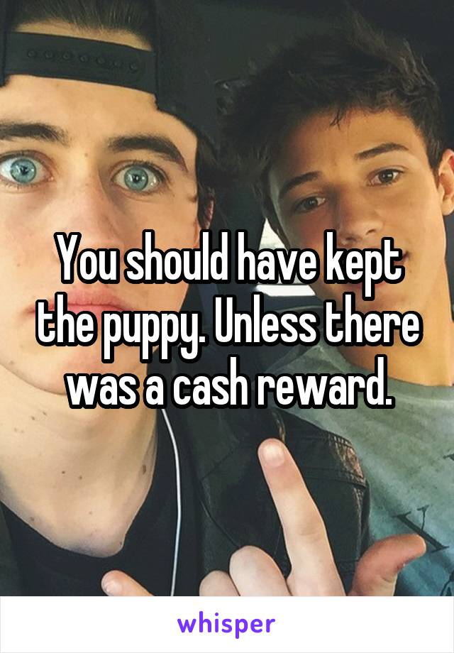 You should have kept the puppy. Unless there was a cash reward.