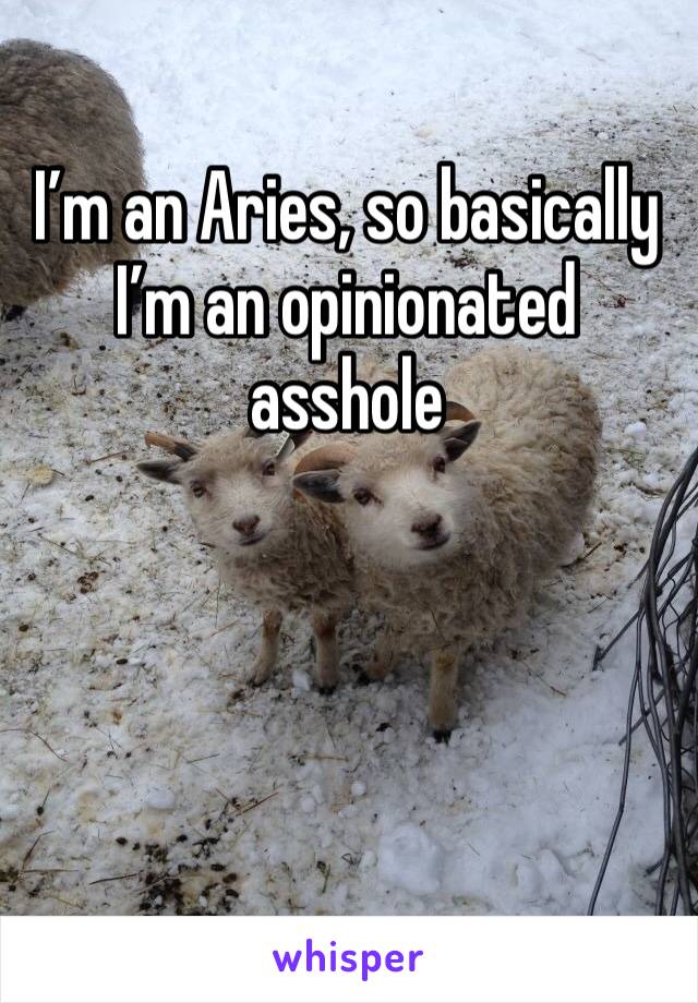 I’m an Aries, so basically I’m an opinionated asshole