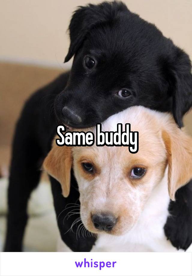 Same buddy