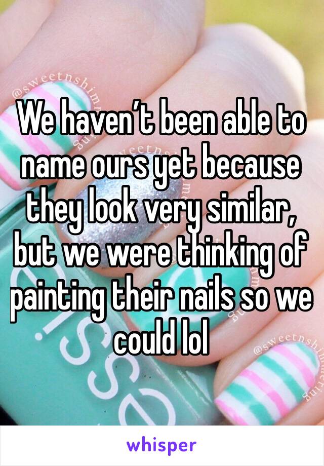 We haven’t been able to name ours yet because they look very similar, but we were thinking of painting their nails so we could lol