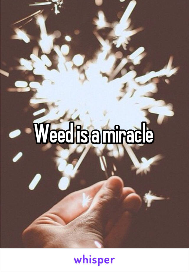 Weed is a miracle 