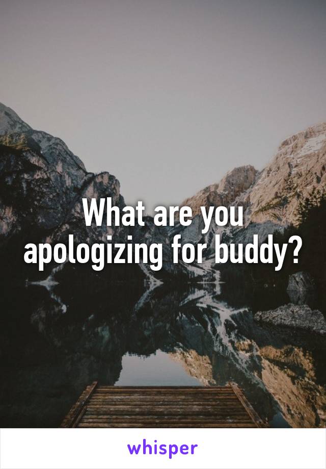 What are you apologizing for buddy?
