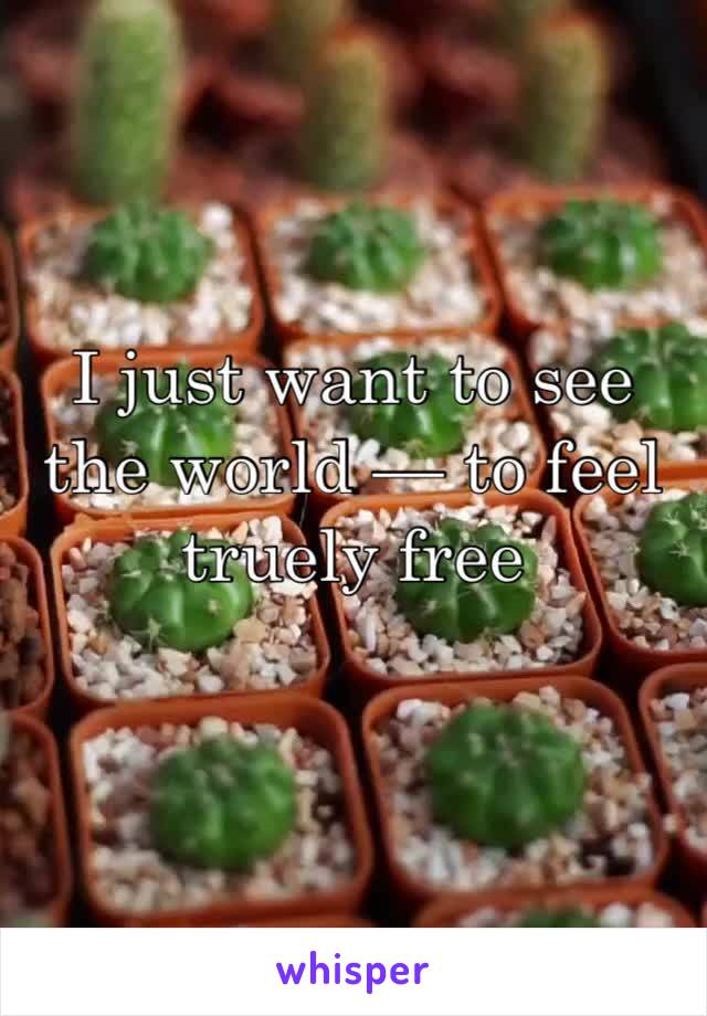 I just want to see the world — to feel truely free