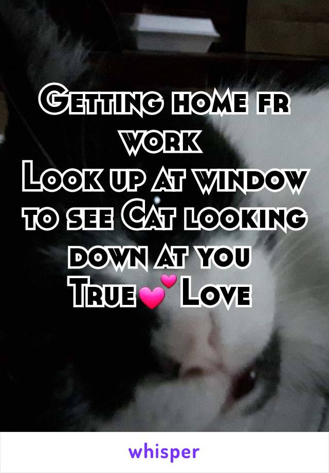 Getting home fr work 
Look up at window to see Cat looking down at you 
True💕Love 
