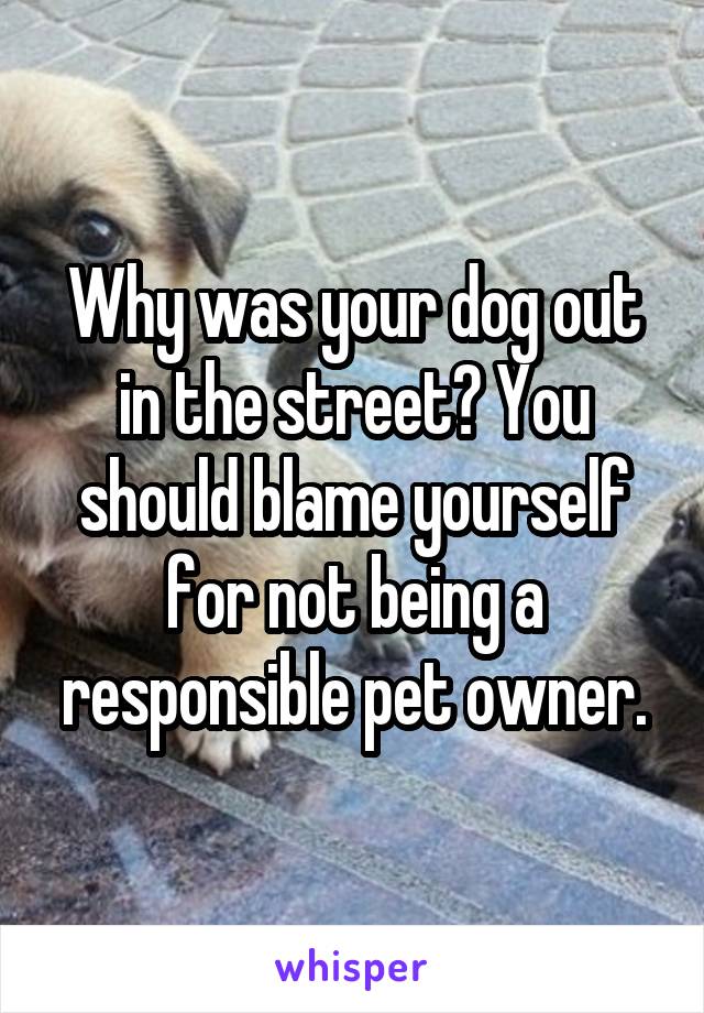 Why was your dog out in the street? You should blame yourself for not being a responsible pet owner.
