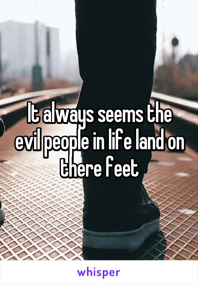 It always seems the evil people in life land on there feet