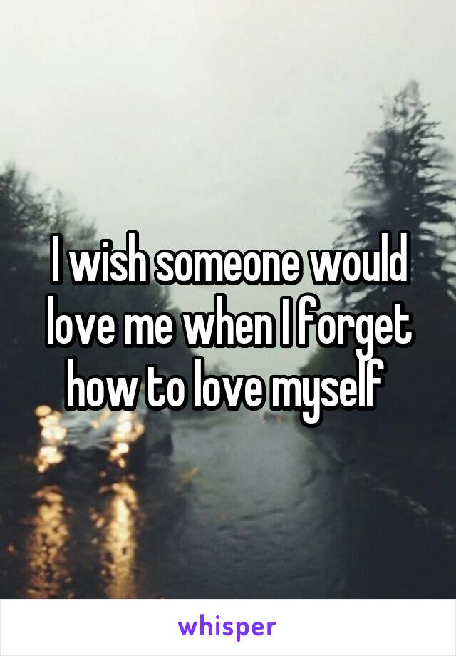 I wish someone would love me when I forget how to love myself 