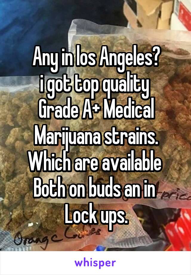 Any in los Angeles?
i got top quality 
Grade A+ Medical
Marijuana strains.
Which are available 
Both on buds an in 
Lock ups.