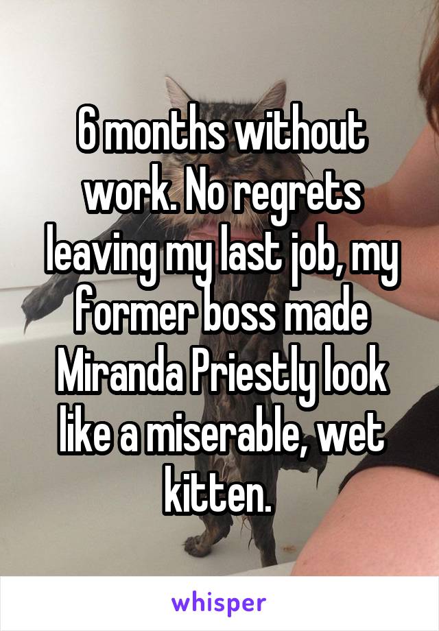 6 months without work. No regrets leaving my last job, my former boss made Miranda Priestly look like a miserable, wet kitten. 