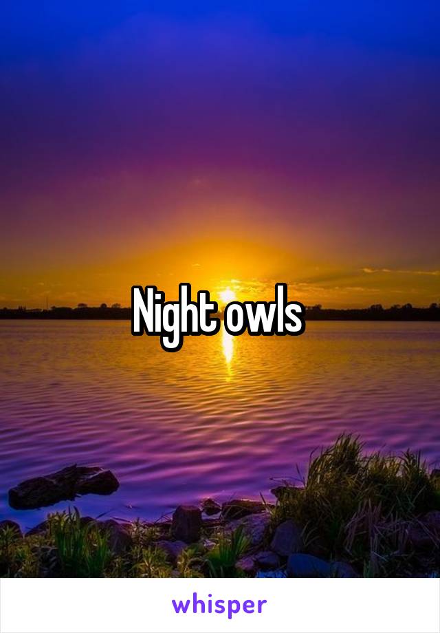 Night owls 