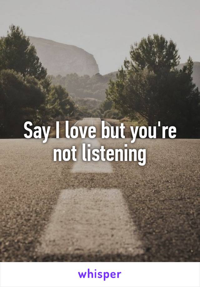 Say I love but you're not listening