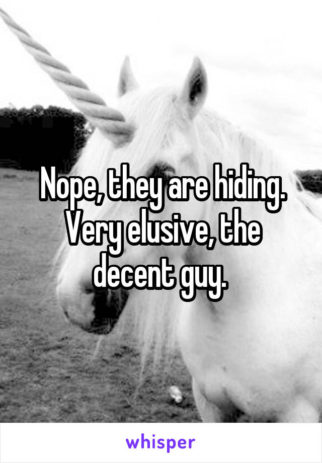 Nope, they are hiding. Very elusive, the decent guy. 