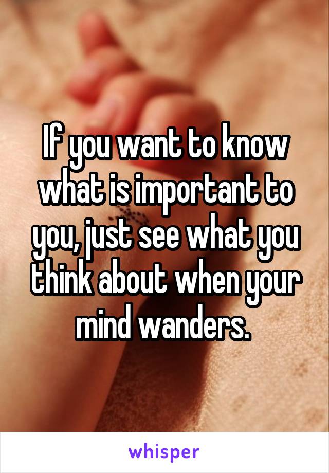If you want to know what is important to you, just see what you think about when your mind wanders. 