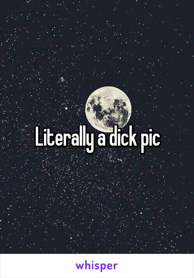 Literally a dick pic