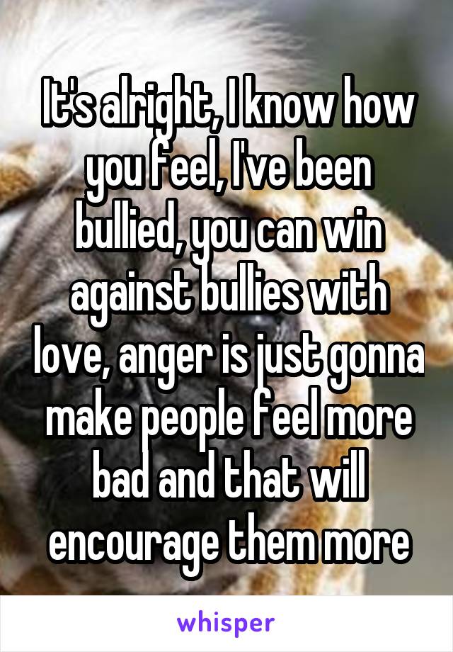 It's alright, I know how you feel, I've been bullied, you can win against bullies with love, anger is just gonna make people feel more bad and that will encourage them more