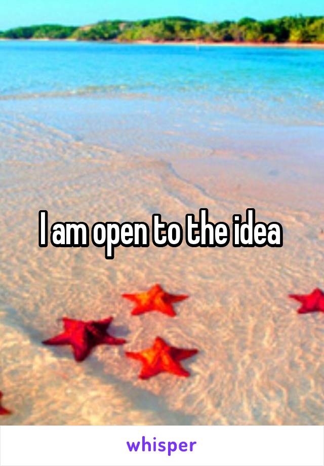 I am open to the idea 