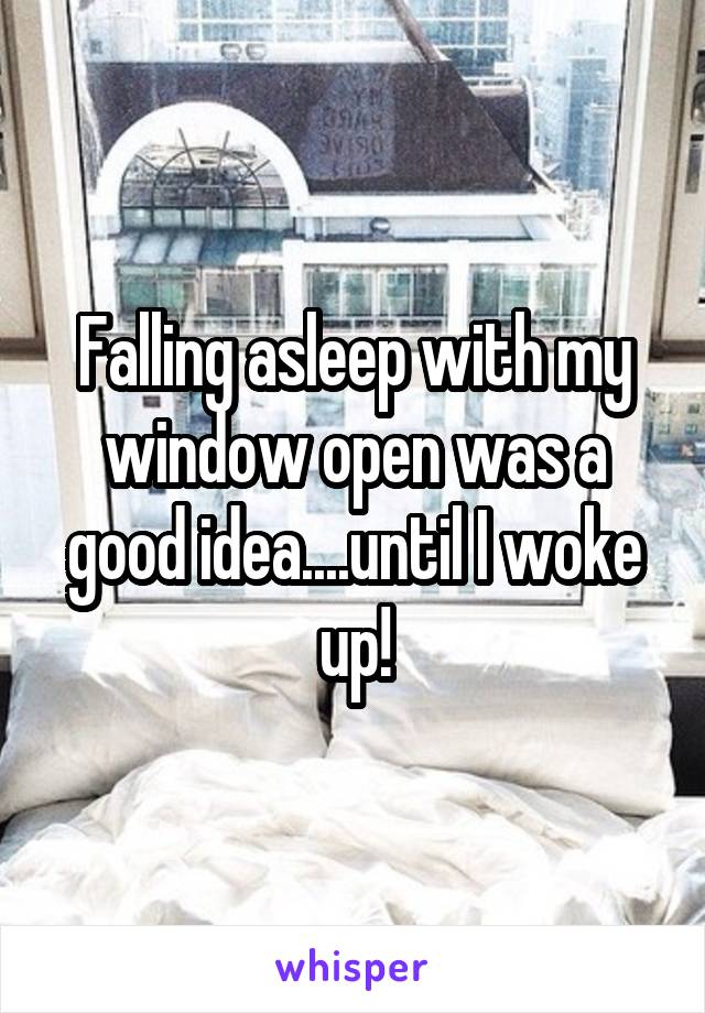 Falling asleep with my window open was a good idea....until I woke up!