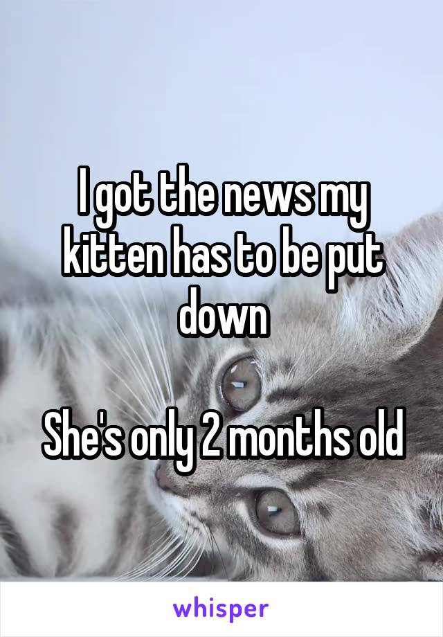 I got the news my kitten has to be put down

She's only 2 months old