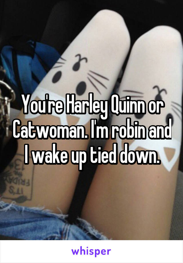 You're Harley Quinn or Catwoman. I'm robin and I wake up tied down.